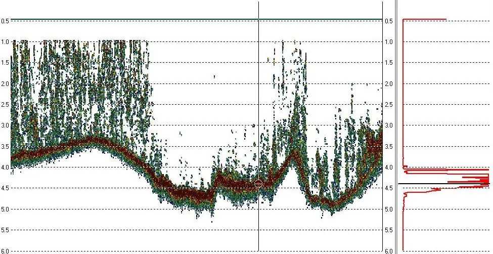 Echogram showing vegetation above the true bottom