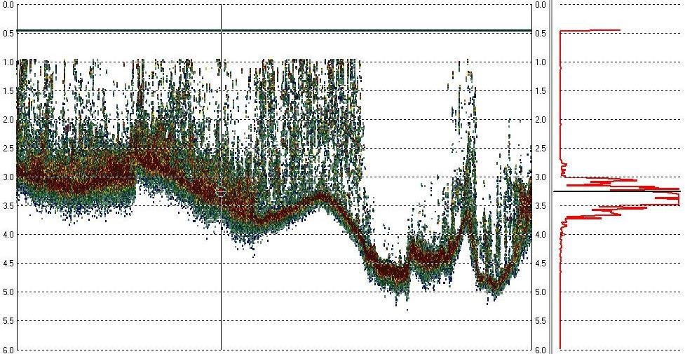 Echogram showing heavy sub-aquatic vegetation