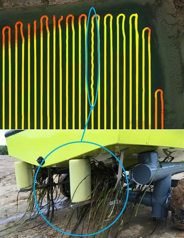 Survey line track affected by fouling, above vegetation tangled around the USV propellers