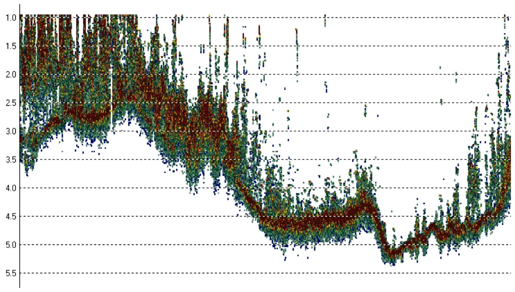 CEESCOPE™ digital echogram showing heavy vegetation.