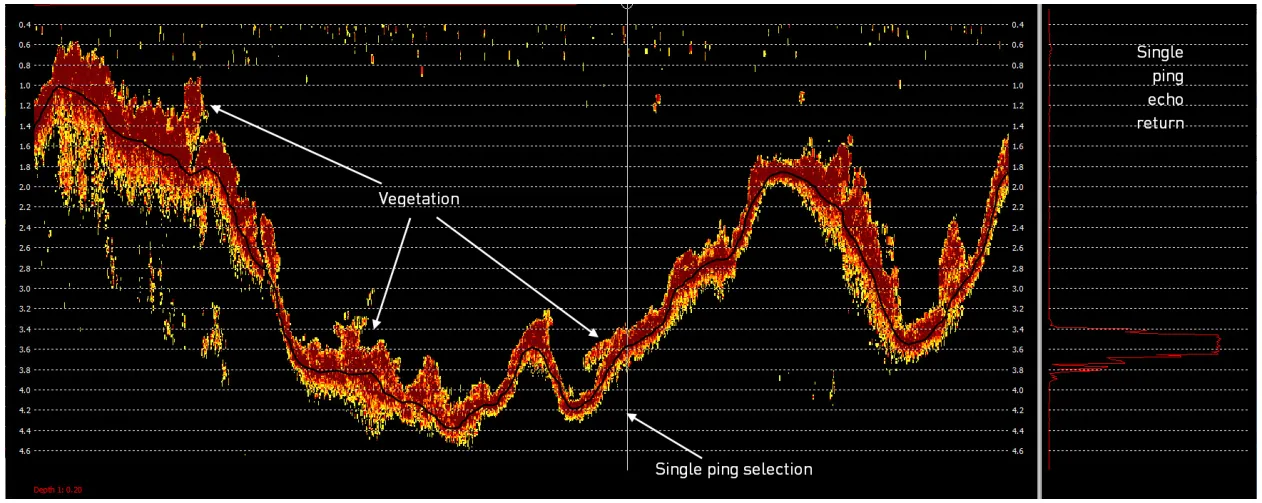 A 200 kHz CEESCOPE™ echogram from a river with underwater vegetation.