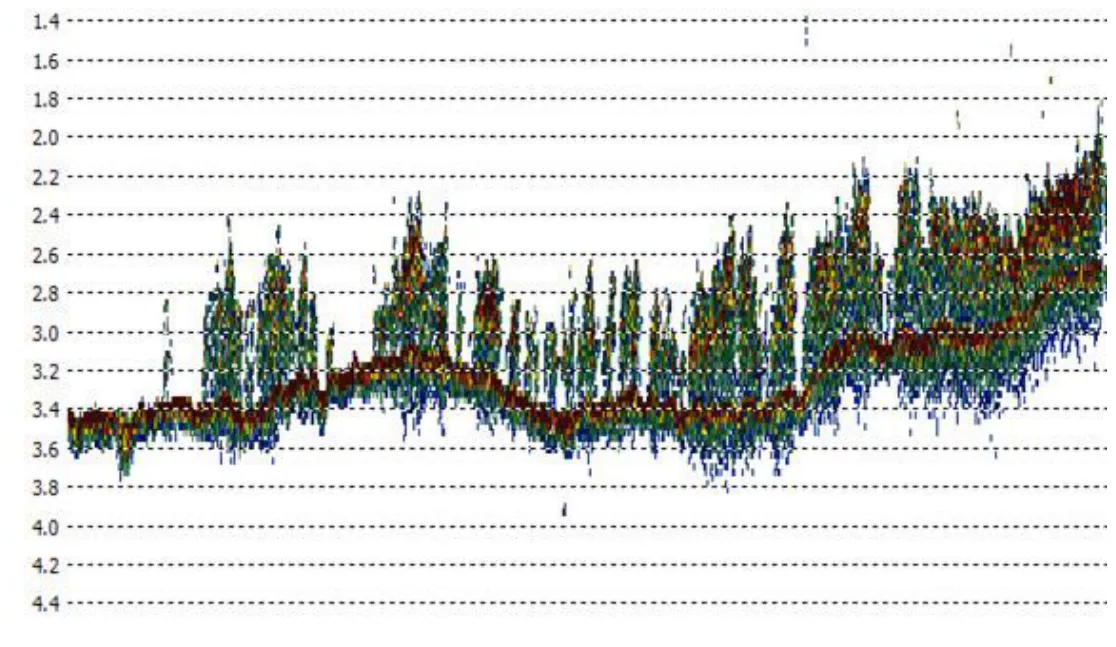 Moderate eelgrass density echogram in HYPACK®.