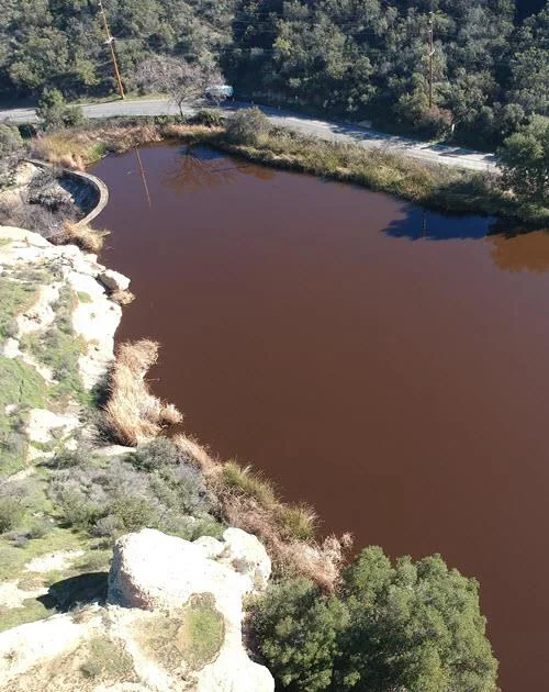 Aerial view of Lake Eleanor and the dam from above