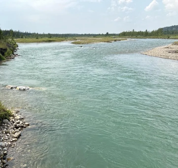 Shallow, braided section of the Red Deer River with gravel banks