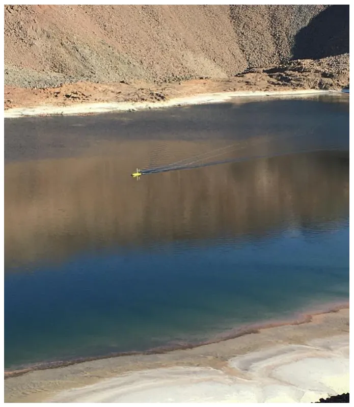 Surveying in pH 3 copper leachate.