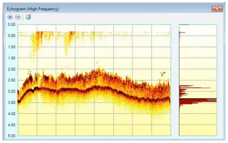 High frequency echogram from the USV.
