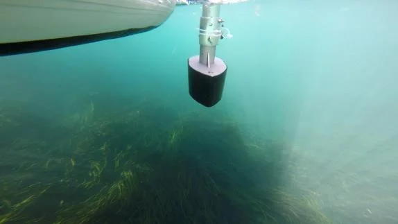 Pole-mounted 33/200 kHz transducer below the boat over submerged vegetation